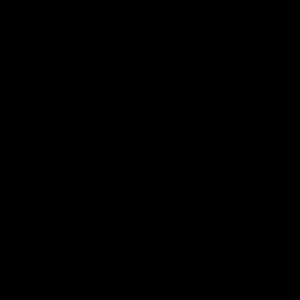 Meet your Posher, Somin